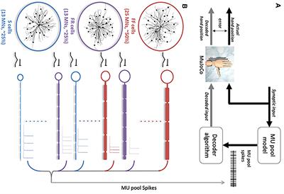 Adaptive Neural Decoder for Prosthetic Hand Control